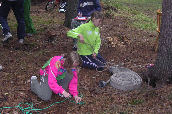 SDH Nov� Stra�ec�