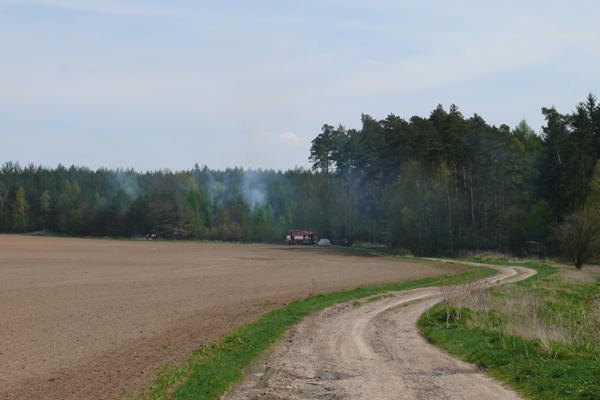 SDH Nov� Stra�ec�