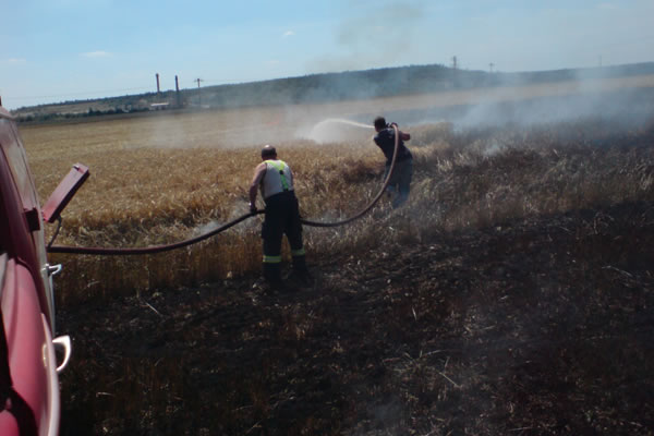 SDH Nov� Stra�ec�