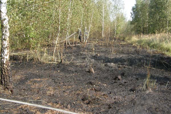 SDH Nov� Stra�ec�