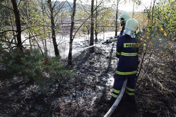 SDH Nov� Stra�ec�