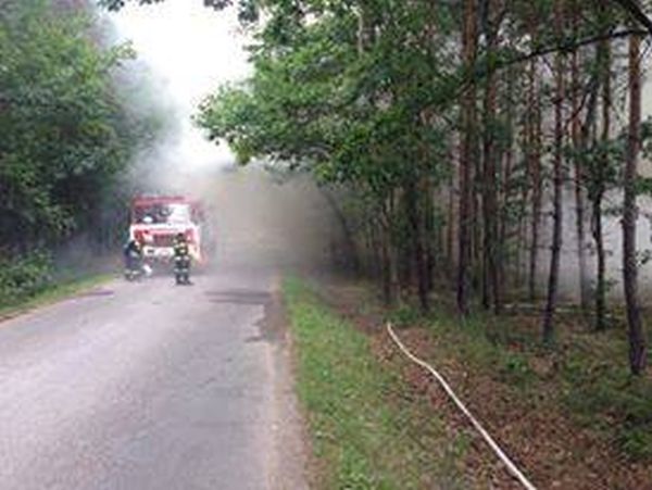 SDH Nov� Stra�ec�