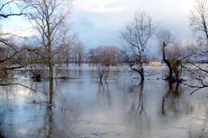 SDH Nov� Stra�ec�