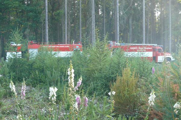 SDH Nov� Stra�ec�