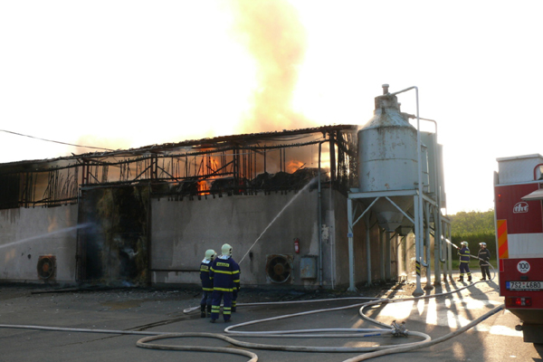 SDH Nov� Stra�ec�