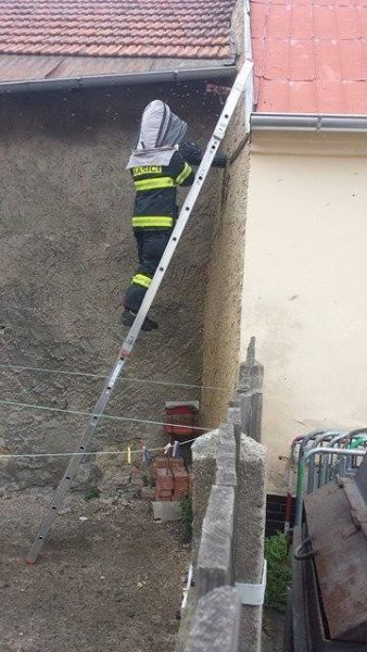 SDH Nov� Stra�ec�