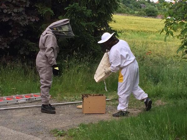 SDH Nov� Stra�ec�