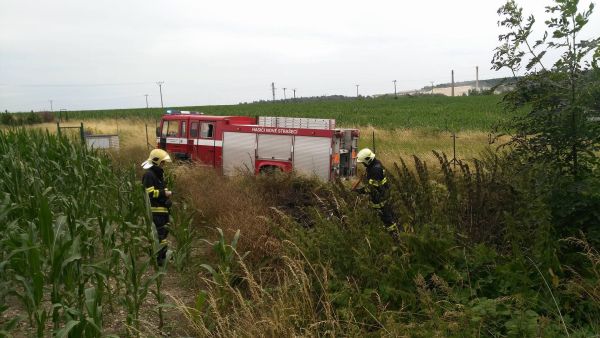 SDH Nov� Stra�ec�