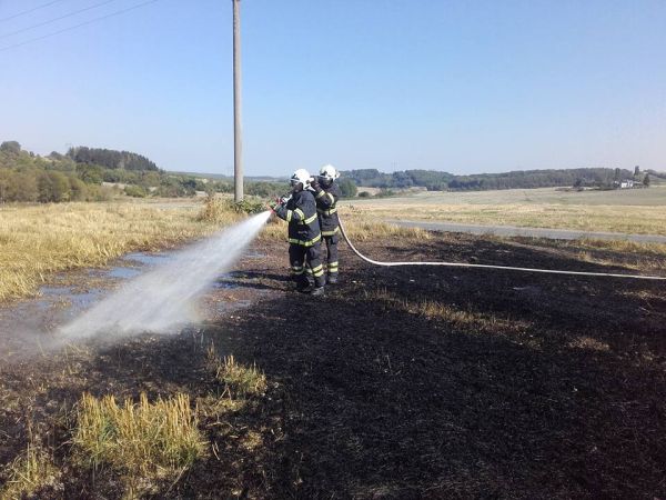 SDH Nov� Stra�ec�