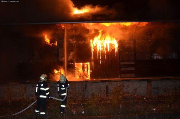 SDH Nov� Stra�ec�